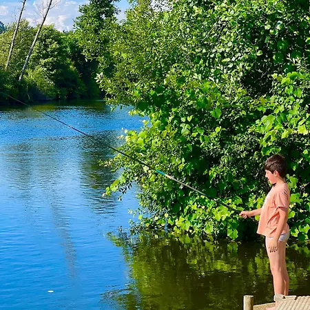 Casa Do Rio Alva * Arganil