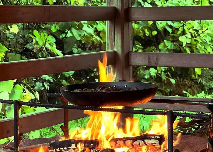 Casa Do Rio Alva * Arganil