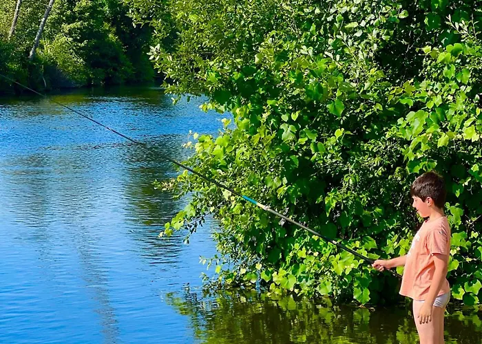 Casa Do Rio Alva * Arganil